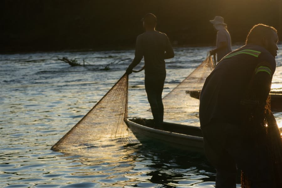 Pescadores lanzando la atarraya en el río Cauca cerca de Buga al amanecer