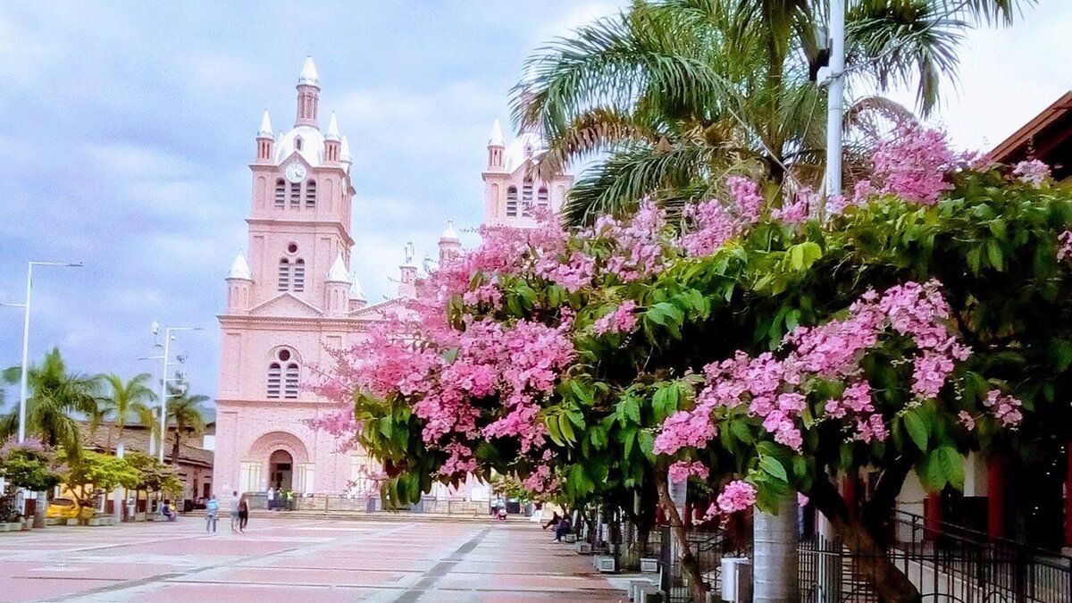 Plaza de la Basílica del Señor de los Milagros de Buga, con los árboles en flor del andén