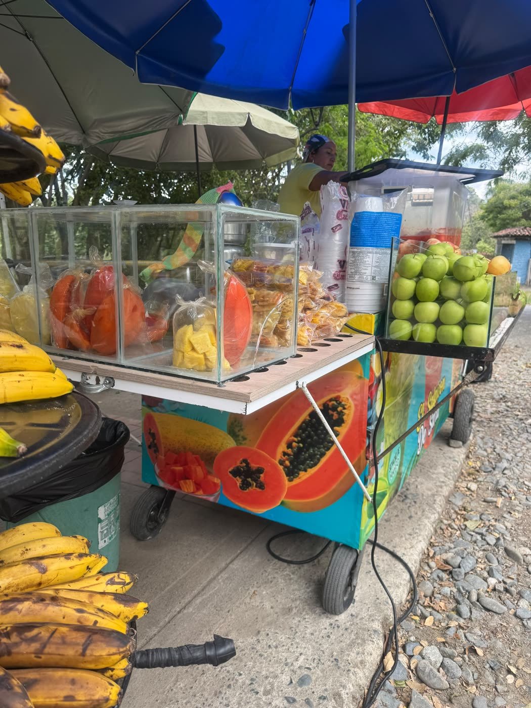 Vitrina de un carrito de jugos con fruta fresca en el puente del Vergel, Buga